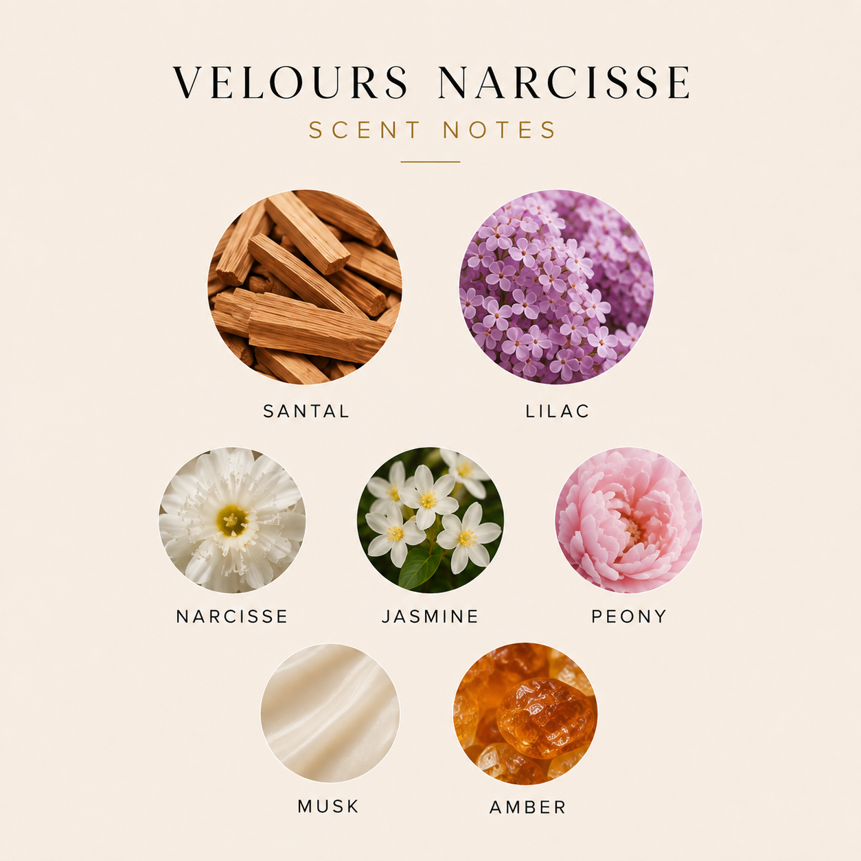 Velours Narcisse (10 oz)
